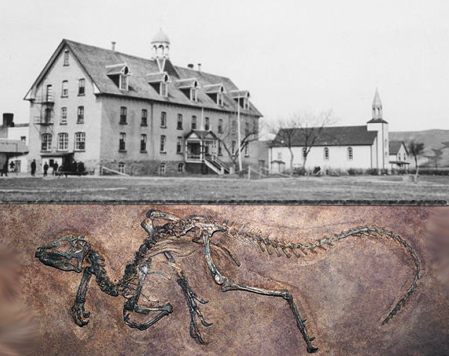 Ground Penetrating Radar Discovers Velociraptor under Saskatchewan Residential School, Possibly Killed by Catholic Priest